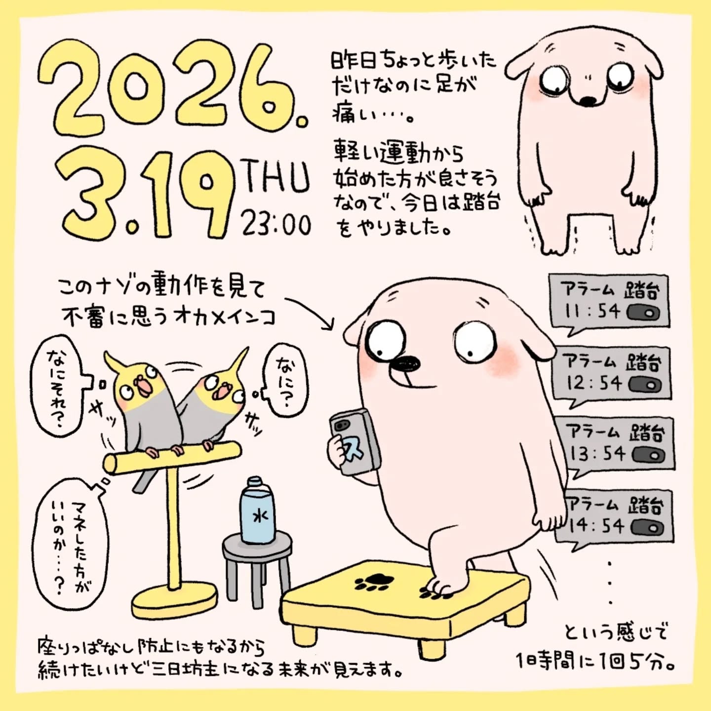 オカメを困惑させてしまいました#mercylokki #イラスト #絵日記 #踏台昇降 #オカメインコ (Instagram)